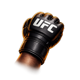 UFC guessing games